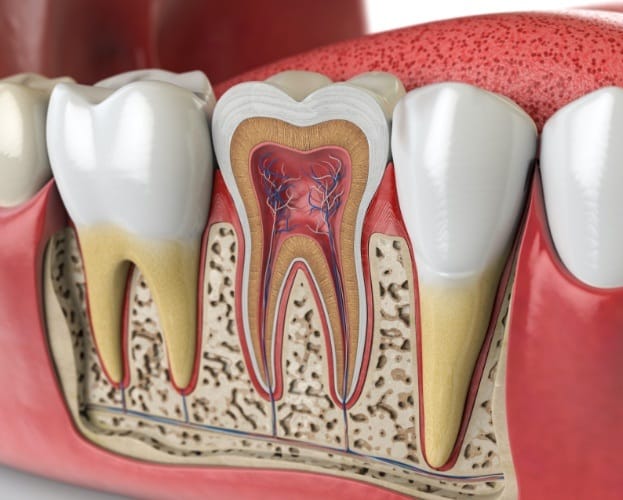 Animated smile with the inside of a tooth in need of root canal therapy
